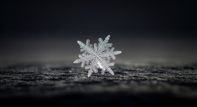 A Single Intricate Snowflake on a Dark Textured Surface