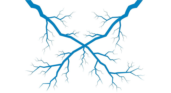 Blue veins on white background.