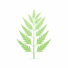 Fototapeta premium Green Leafy Plant Branch Illustration