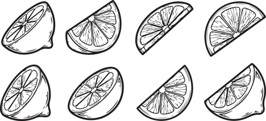 Black and white butterfly wing patterns close up vector Vector © Nur