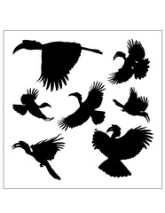 Beautiful hornbill bird silhouettes © fennywiryani