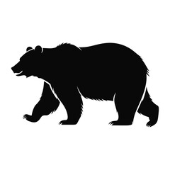 Obraz premium Black silhouette of a bear walking animal