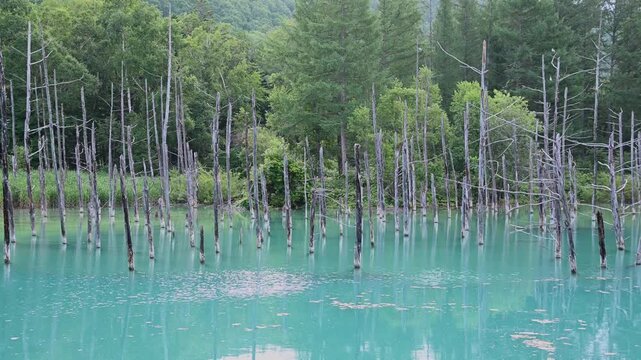 北海道美瑛町」の写真素材 | 18,659件の無料イラスト画像 | Adobe Stock