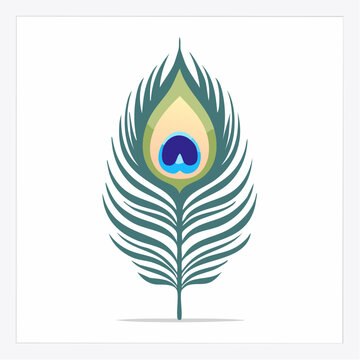 Peacock Feather Illustration