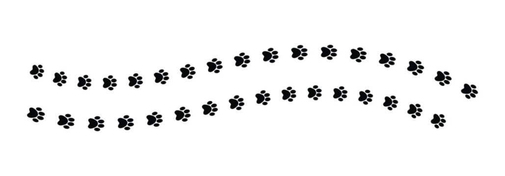 Dog paw foot print on white background. Black and white dog Paw patterned graphics design are used for printed on dog beds, wrapping paper and pet theme.