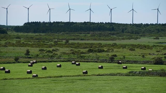 草ロールと回る風車の列の動画　北海道　日本