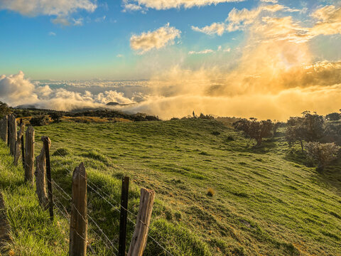 P&acirc;turages au coucher du soleil, &Icirc;le de la R&eacute;union 