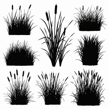 Collection of black silhouettes of wetland vegetation, including cattail bundles, tall marsh grasses, and reed clusters, isolated on a white background for botanical graphic design.