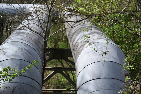 District heating pipelines winding through trees in urban industrial landscape