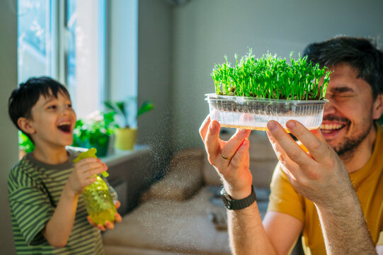 Father and son laughing while spraying water on microgreen indoors