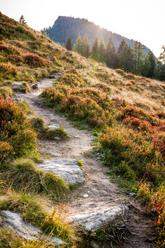 Hiking trail in the Austrian Alps of Grossarl Valley