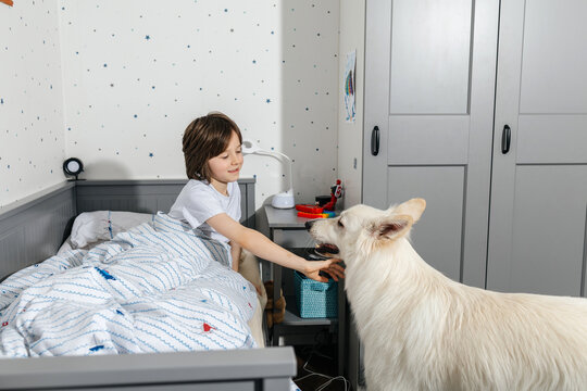 Child petting white dog in bed during the morning