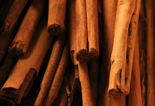 Macro close up of brown aromatic cinnamon sticks