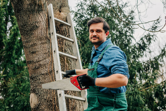 Gardener holding saw by ladder for spring tree care