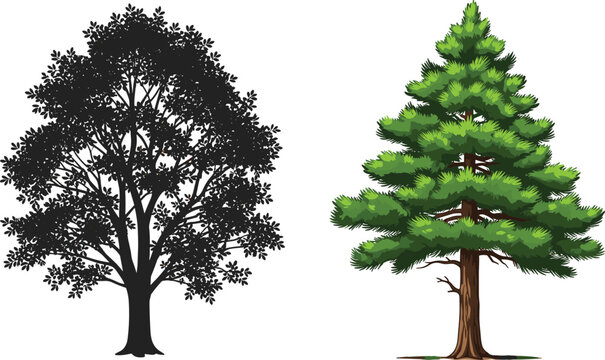 A detailed set of two separate evergreen tree illustrations including a realistic green pine tree and a solid black deciduous tree silhouette.