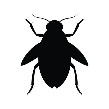 Silhouette of thrips insect detailed anatomy vector illustration in black and white design, thrips silhouette vector illustration
