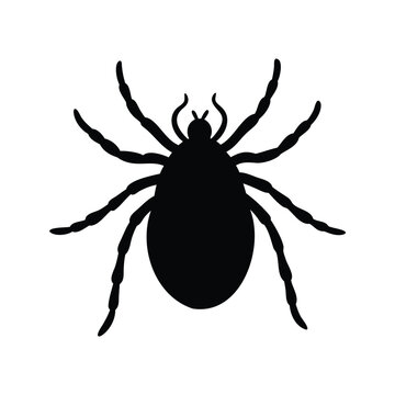 Black and white tick insect minimalist design silhouette vector illustration for medical or pest control, tick silhouette vector illustration