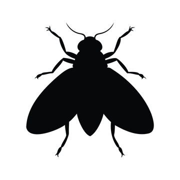 Silhouette of whitefly insect isolated on white background vector illustration design, whitefly silhouette vector illustration