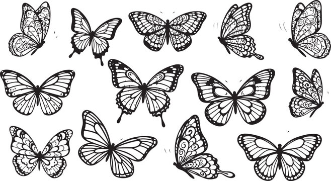 Black and white butterflies collection insects wings patterns
