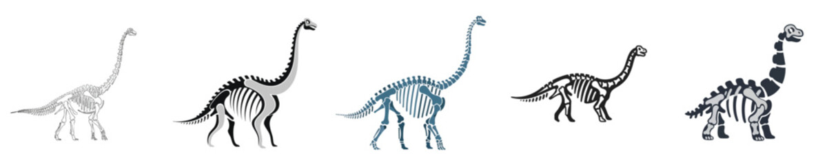 Long Neck Dinosaur Skeleton Set Sauropod Fossil Bones Collection Flat Vector Design © NineteenVisualStudio
