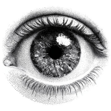 Top View Eyeball - Halftone Print Style Isolated on Transparent Background (PNG)