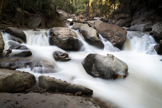 waterfall in the green forest