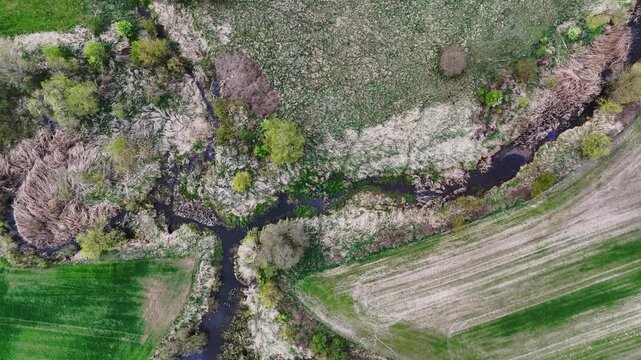 Aerial top-down view of a meandering stream flowing through wetlands and marshy vegetation, flanked by agricultural fields, natural rural landscape, springtime scenery, vertical composition.