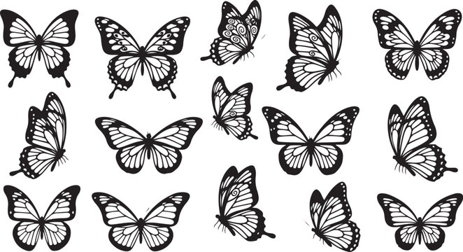 Black and white butterflies on white background insects wings