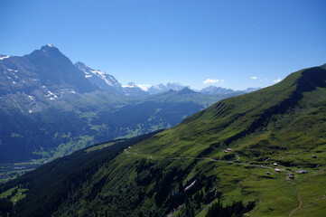 Fototapeta premium Vue depuis First Cliff Walk, Grindelwald, Suisse