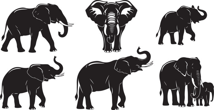 Black silhouettes of elephants in various poses animal