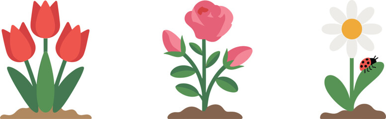 Colorful spring garden flower set with red tulips pink rose and white daisy with ladybug vector illustration for floral designs and nature concepts © Akramul