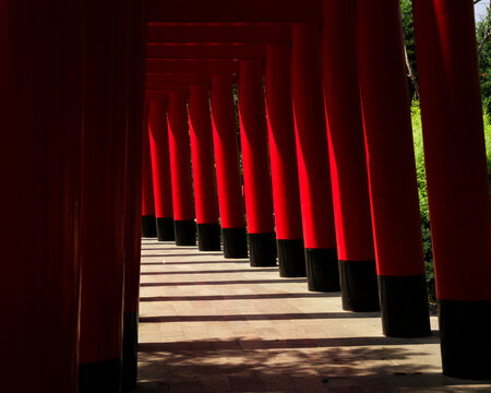 Red Torii Japanese gate