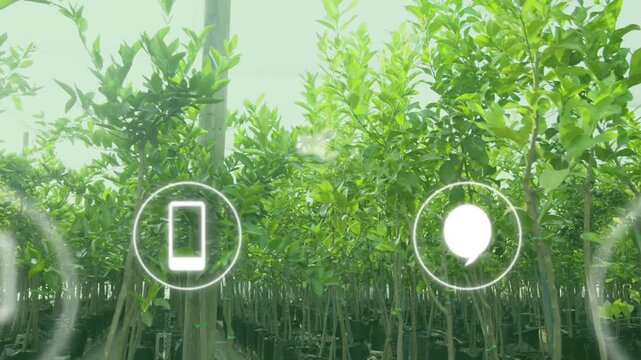 Camera moving amid nursery rows, UI icons appearing moving toward camera then fading showing stock