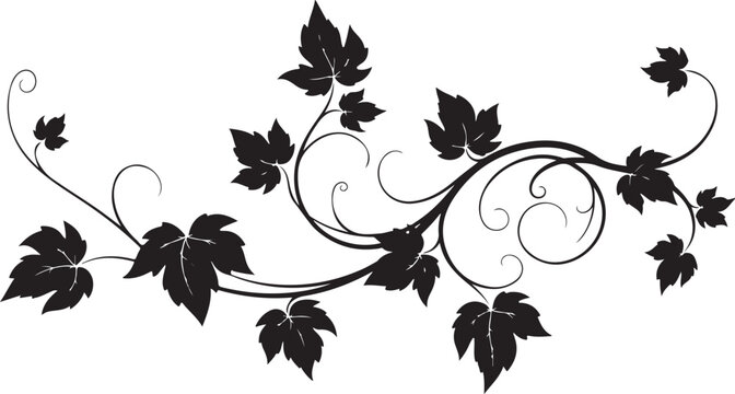 Black vine with leaves and swirling tendrils on white
