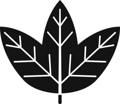 Three leaf plant botany icon illustration for nature