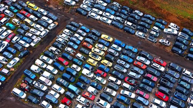 High angle view of car graveyard and dirt roads. Drone perspective of various damaged vehicles parked in rows with visible dirt paths and autumn grass nearby.