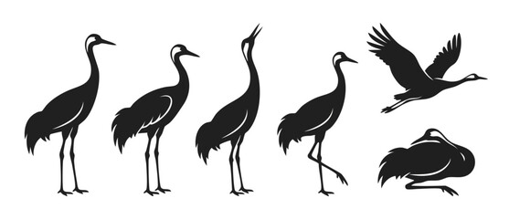 Fototapeta premium Crane bird silhouette collection, set of standing, flying and resting cranes in minimalist black design isolated on white background for nature logo or icon graphics, elegant wildlife vector art style