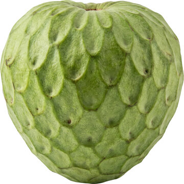 Fresh whole cherimoya fruit isolated on transparent background