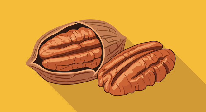 Two brown pecan nuts including one in its shell are depicted on a warm yellow background with a stylish long shadow.