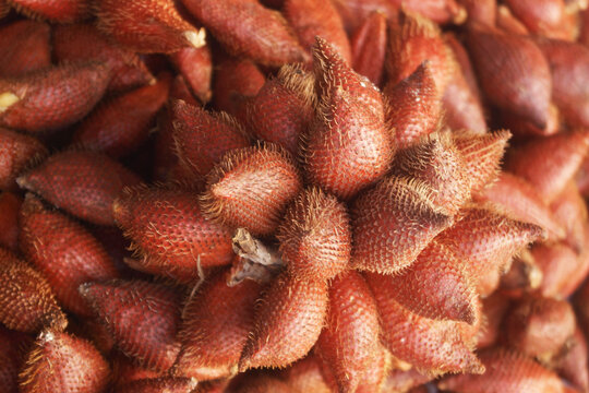 Many fresh salak or snakeskin fruits as background	