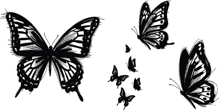 Butterfly silhouettes, black and white, flying butterflies, insect icons, vector graphics