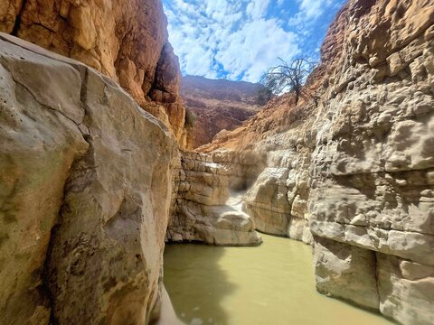 Dargah Canyon . Israel .