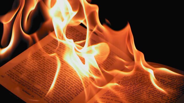 The book burns in the fire of the fireplace