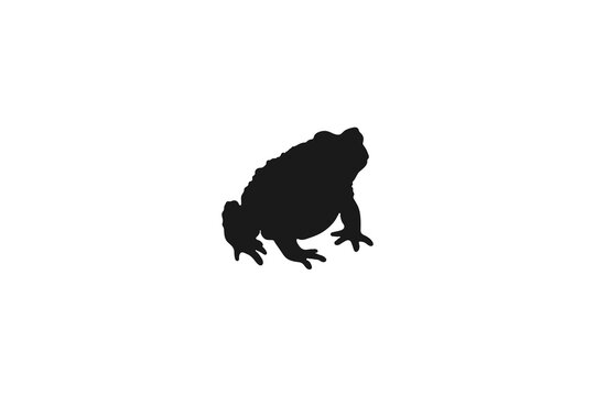 Common toad or frog silhouette isolated on white background