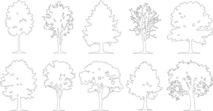 Minimalist tree line art collection, set of 10 deciduous tree vector icons, simple black and white botanical outlines for architectural site plans