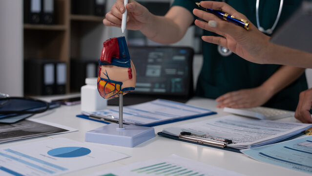 Anatomical heart and kidney models on a desk with medical charts, in a clinical office meeting with healthcare professionals discussing diagnostics and patient care.