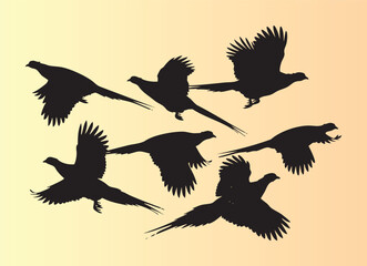 Fototapeta premium Elegant black silhouettes of flying pheasants in various dynamic poses isolated illustration