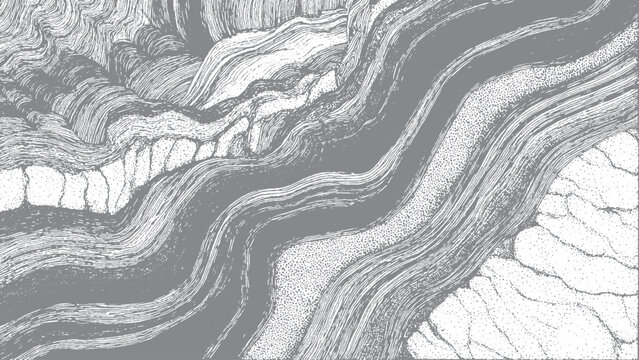 Tree bark texture seamless pattern with organic lines Natural wood surface texture with detailed grain pattern