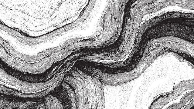 Seamless wood texture with natural tree bark pattern Vector wood grain background for nature wallpaper design