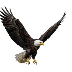 Fototapeta premium Bald eagle in mid-flight with wings spread wide